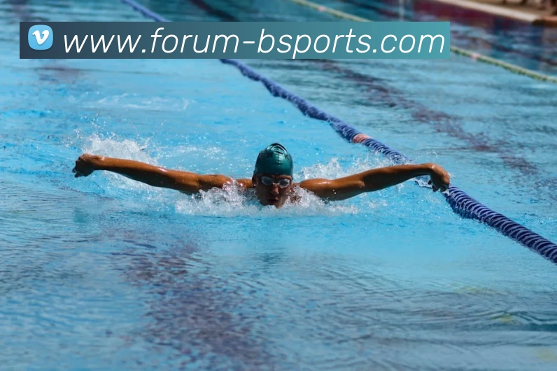 App Interface Preview